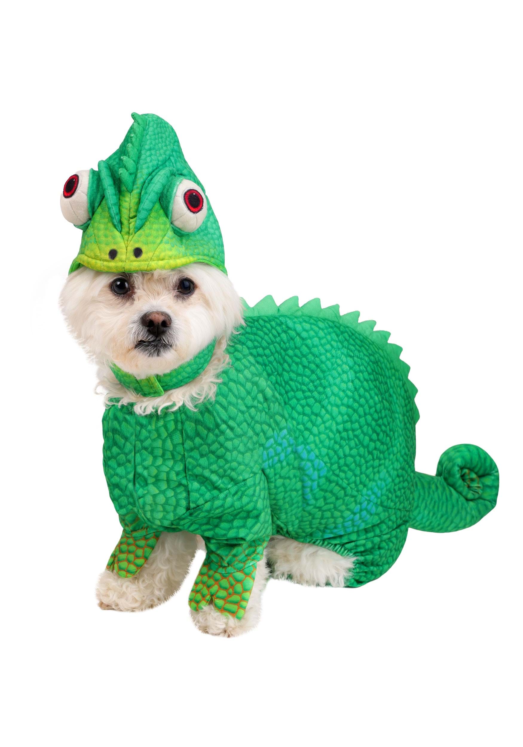 Disney Tangled Pet Pascal Costume | Disney Pet Costumes