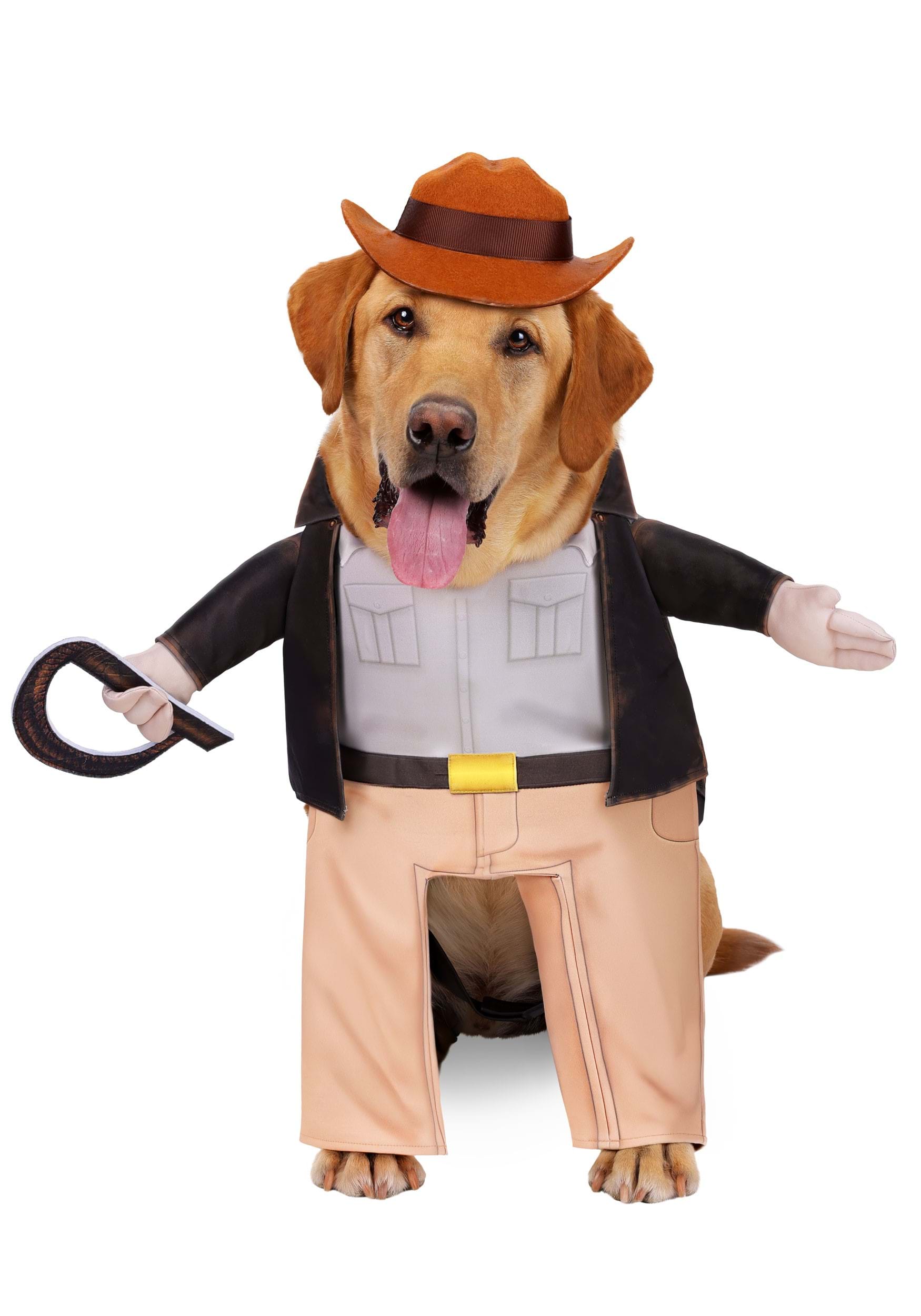 Indiana Jones Costume for Pets | Halloween Pet Costumes