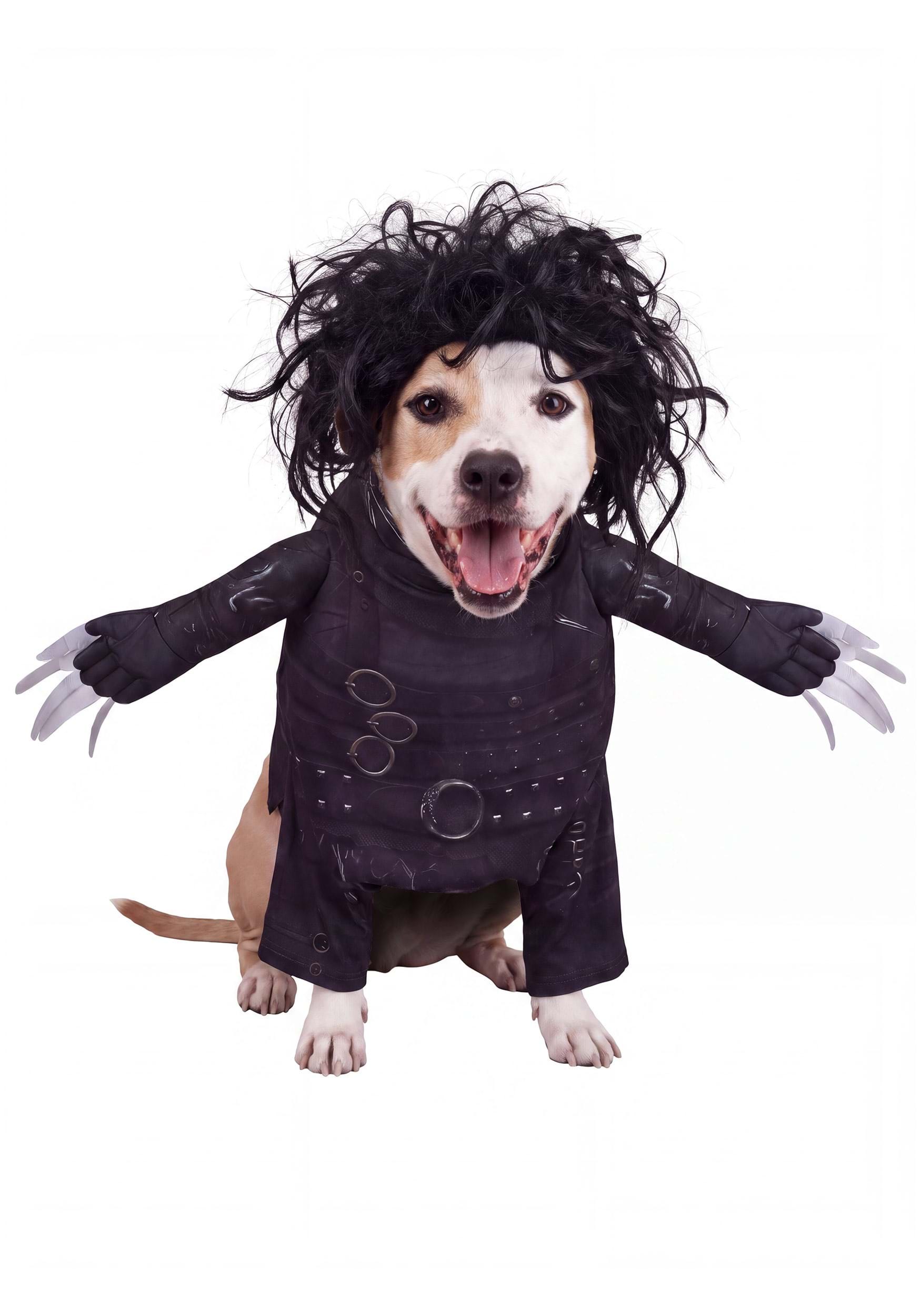 Edward Scissorhands Pet Costume | Movie Pet Costumes
