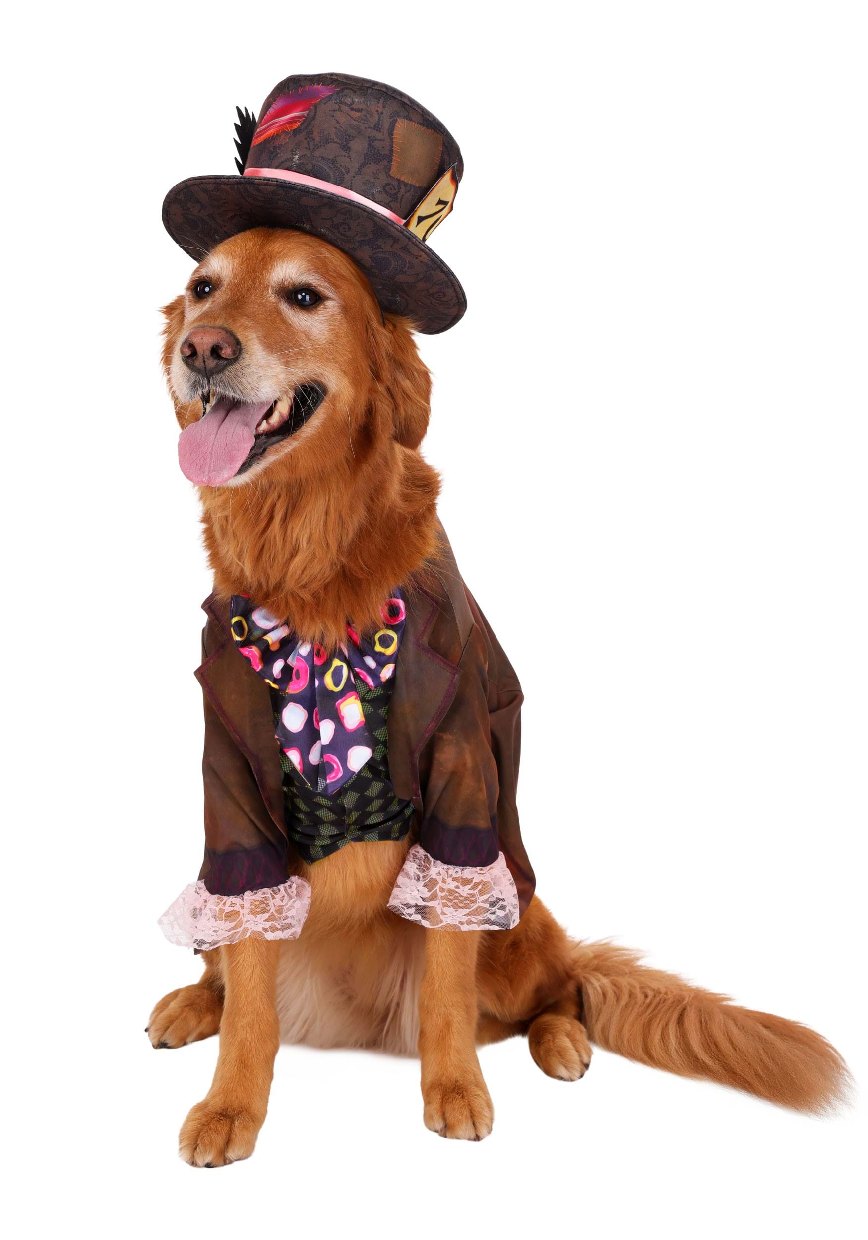 Live Action Disney Mad Hatter Costume for Pets | Disney Pet Costumes