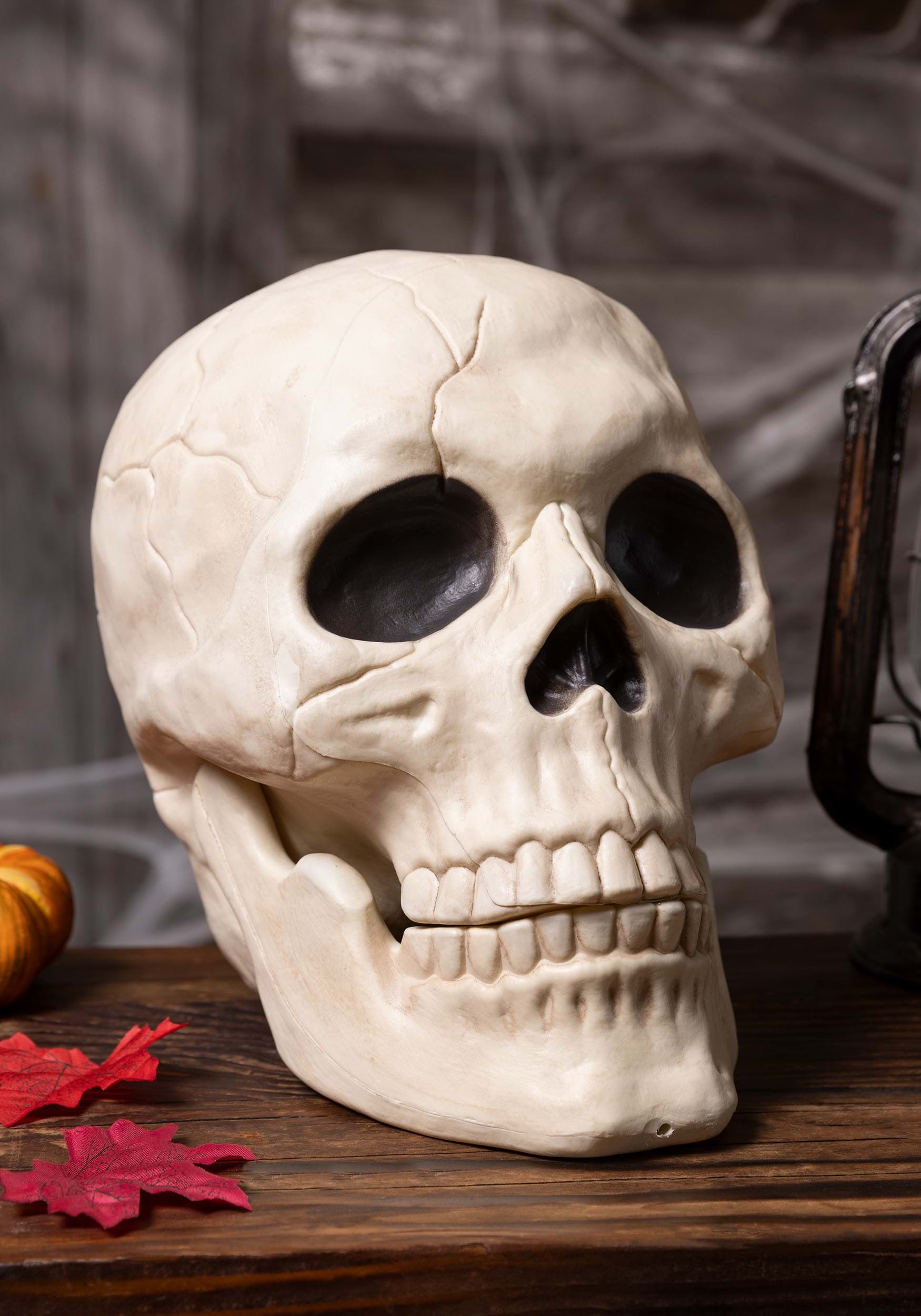 10-Inch Large Skull with Moveable Jaw Prop Decoration | Skeleton Decorations