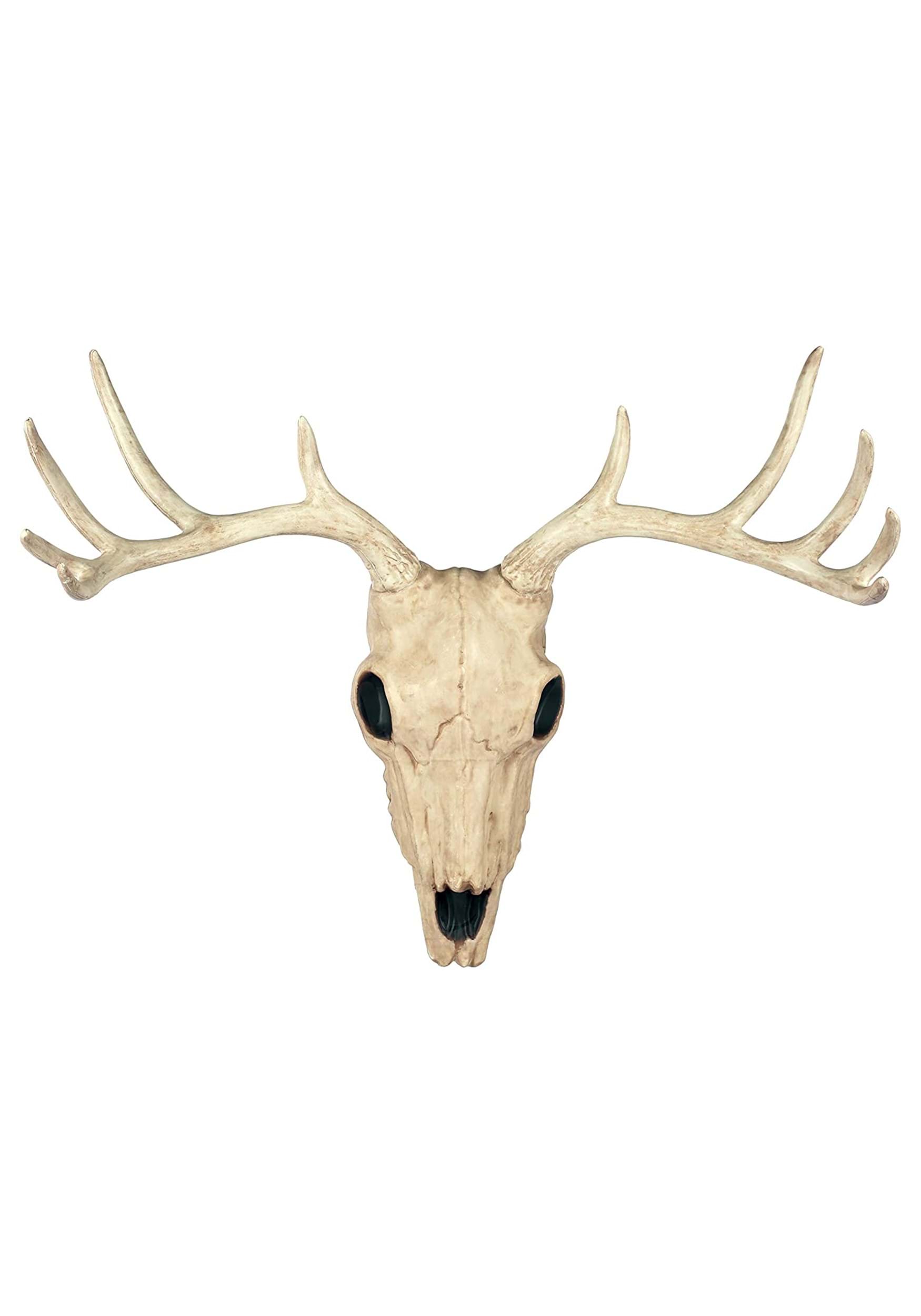 21-Inch Buck Horned Skull Decoration | Animal Skeletons