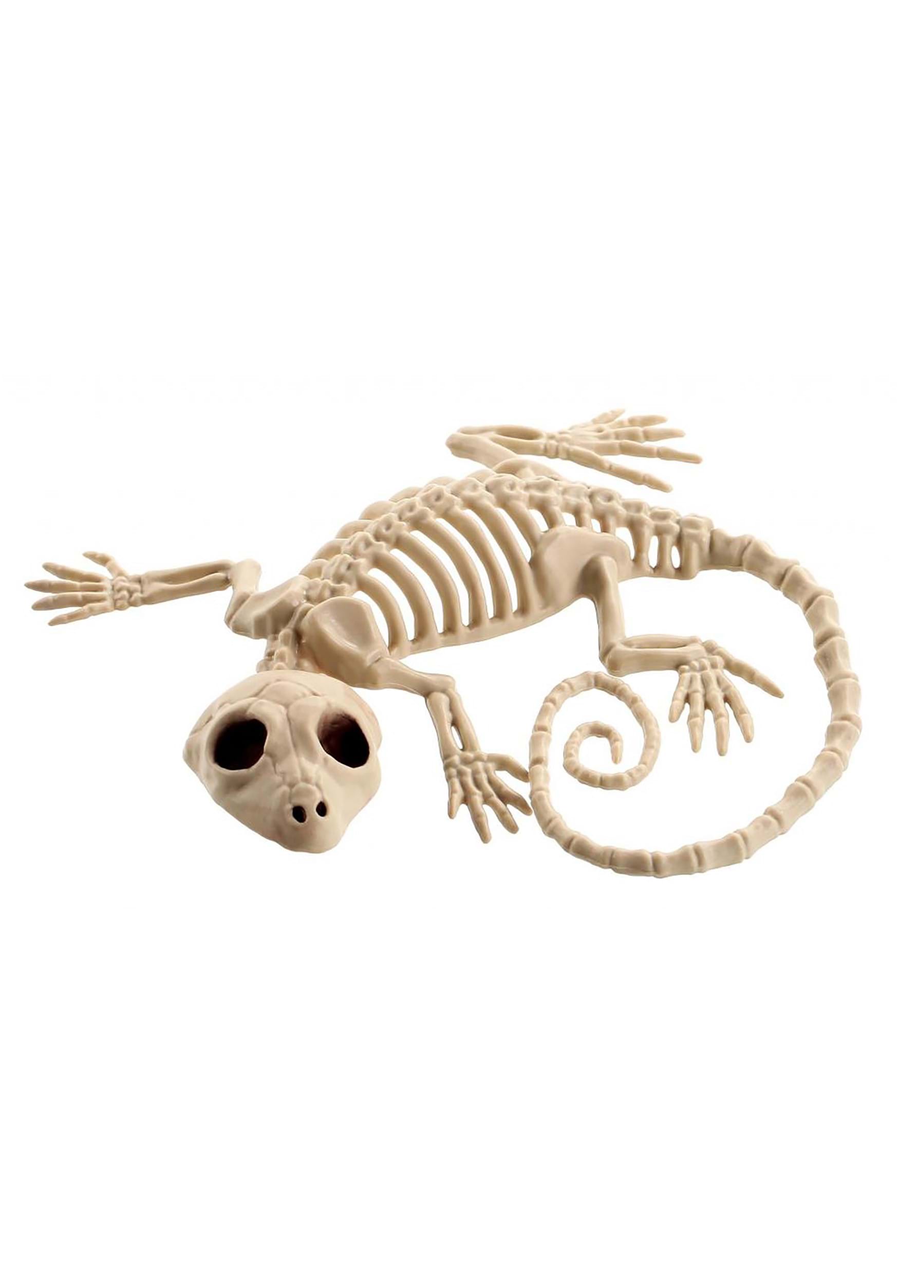 7-Inch Little Skeleton Gecko Decoration | Animal Skeletons