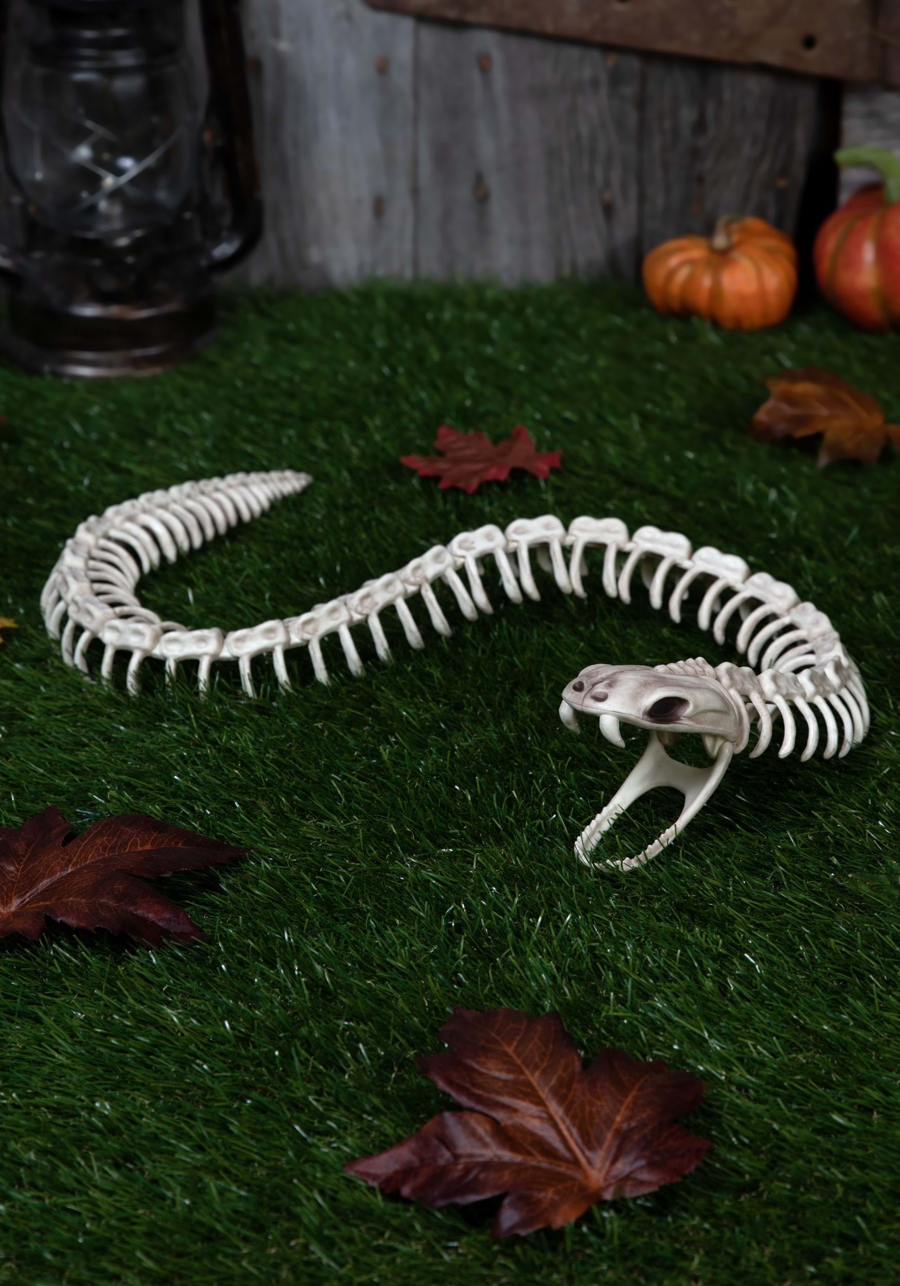 36-Inch Skeleton Snake Poseable Decoration | Animal Skeletons