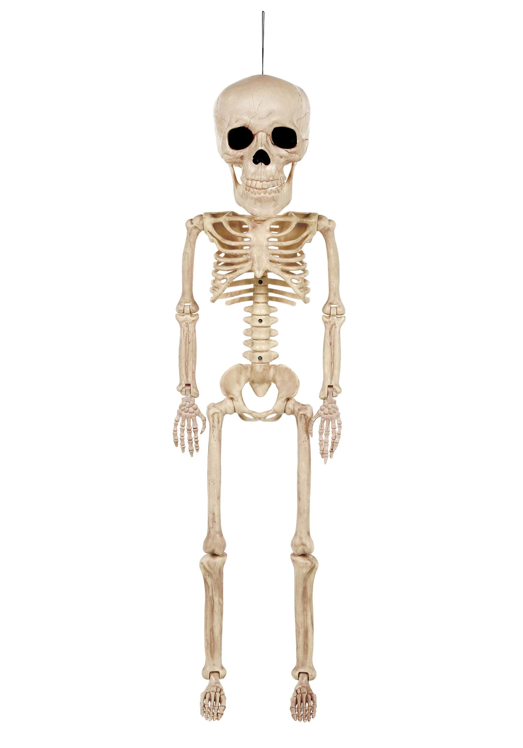 38-Inch Super Big Head Skeleton Decoration | Skeleton Decorations