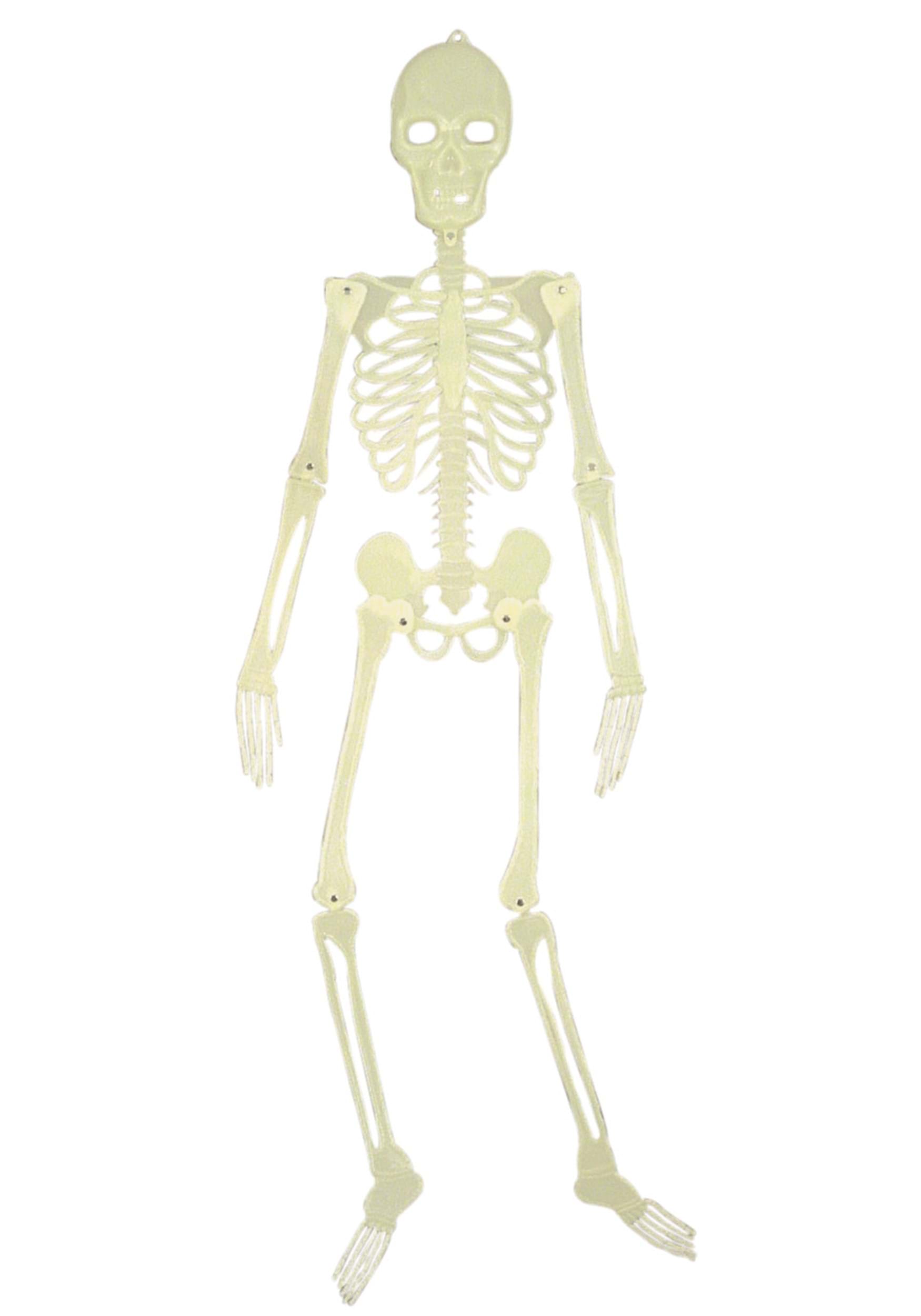 5FT Glow in the Dark Skeleton Prop | Skeleton Decorations