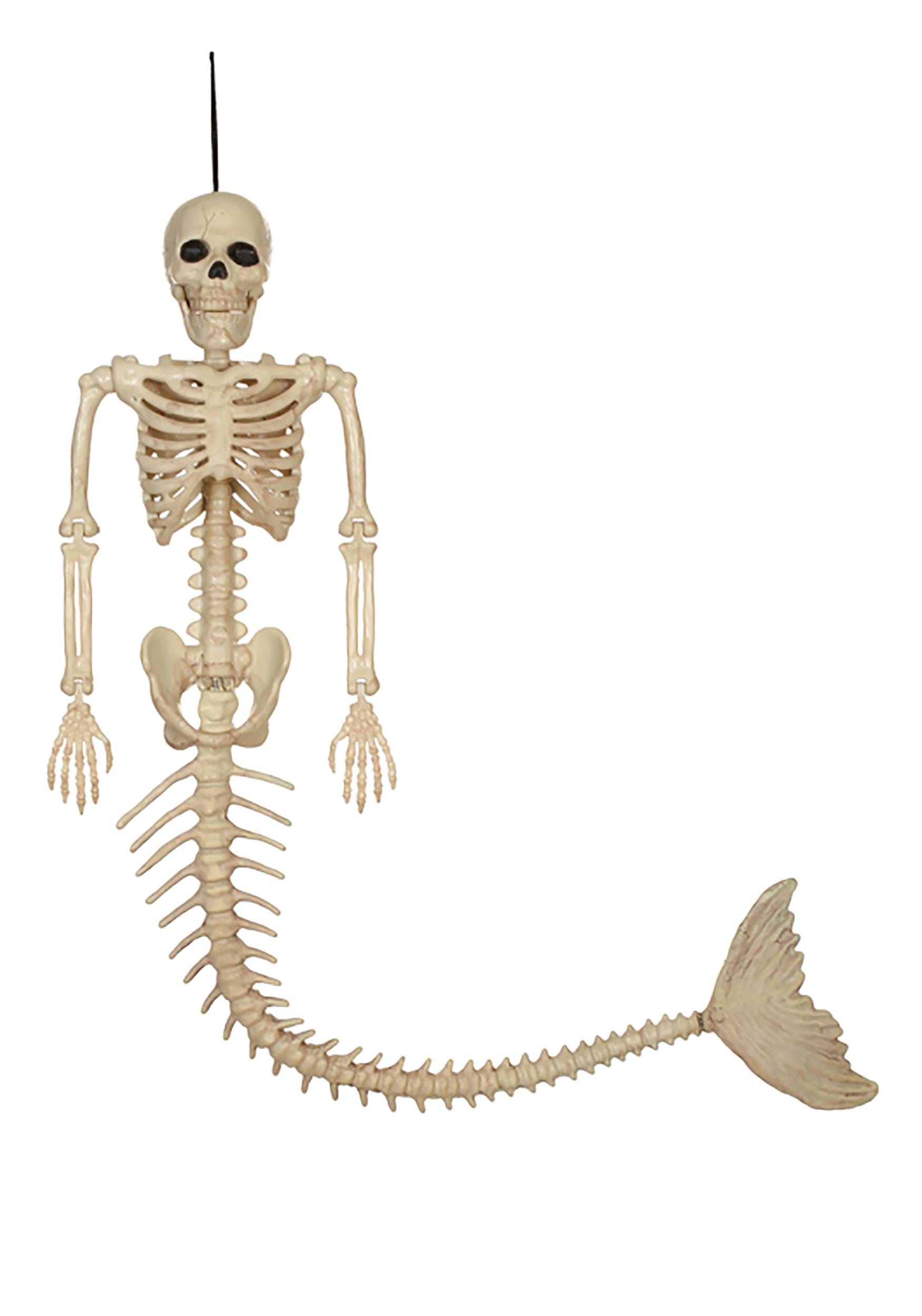 21-Inch Skeleton Mermaid Halloween Prop | Halloween Skeletons