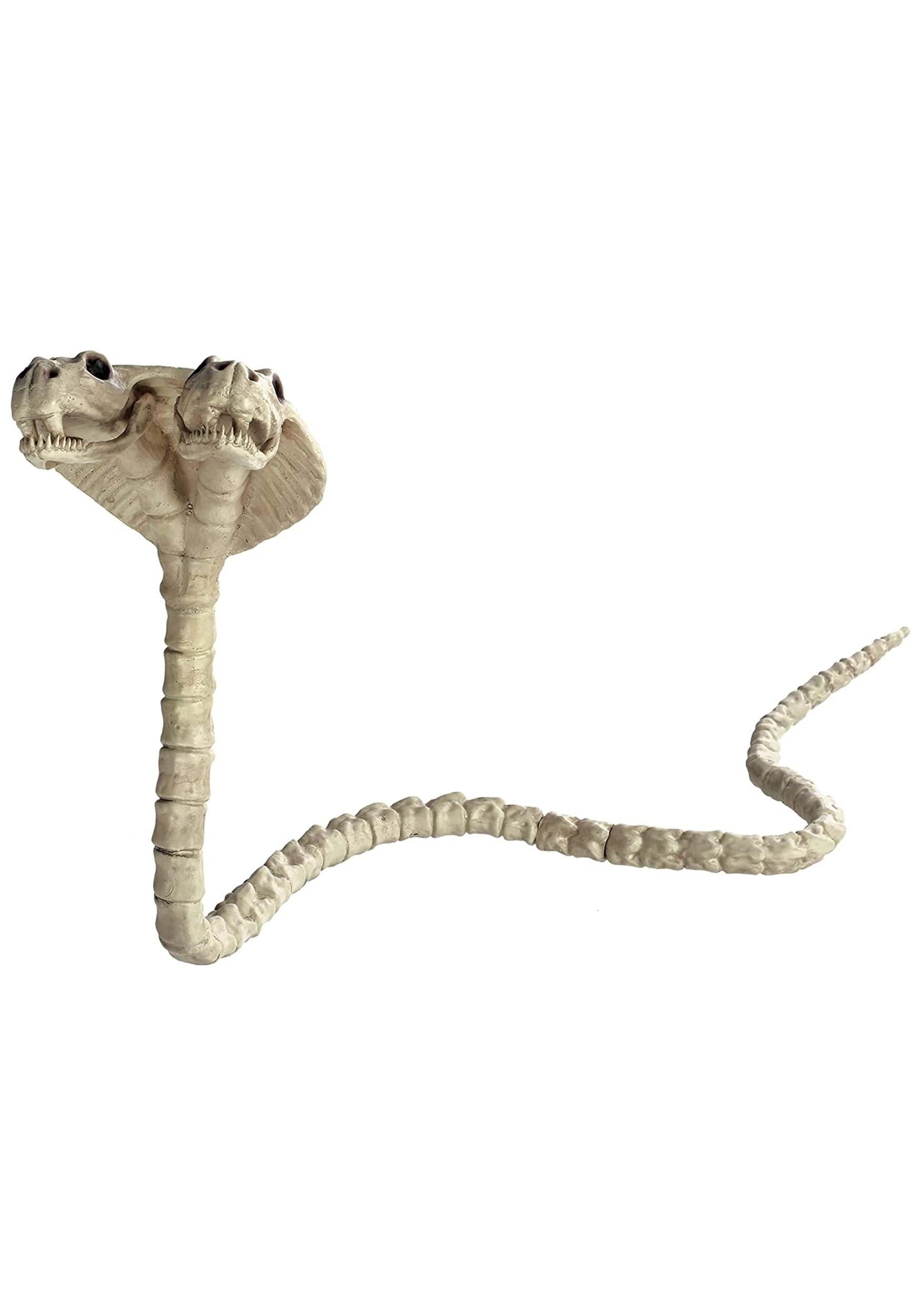 41-Inch Skeleton Double Headed Cobra Decoration | Skeleton Animals