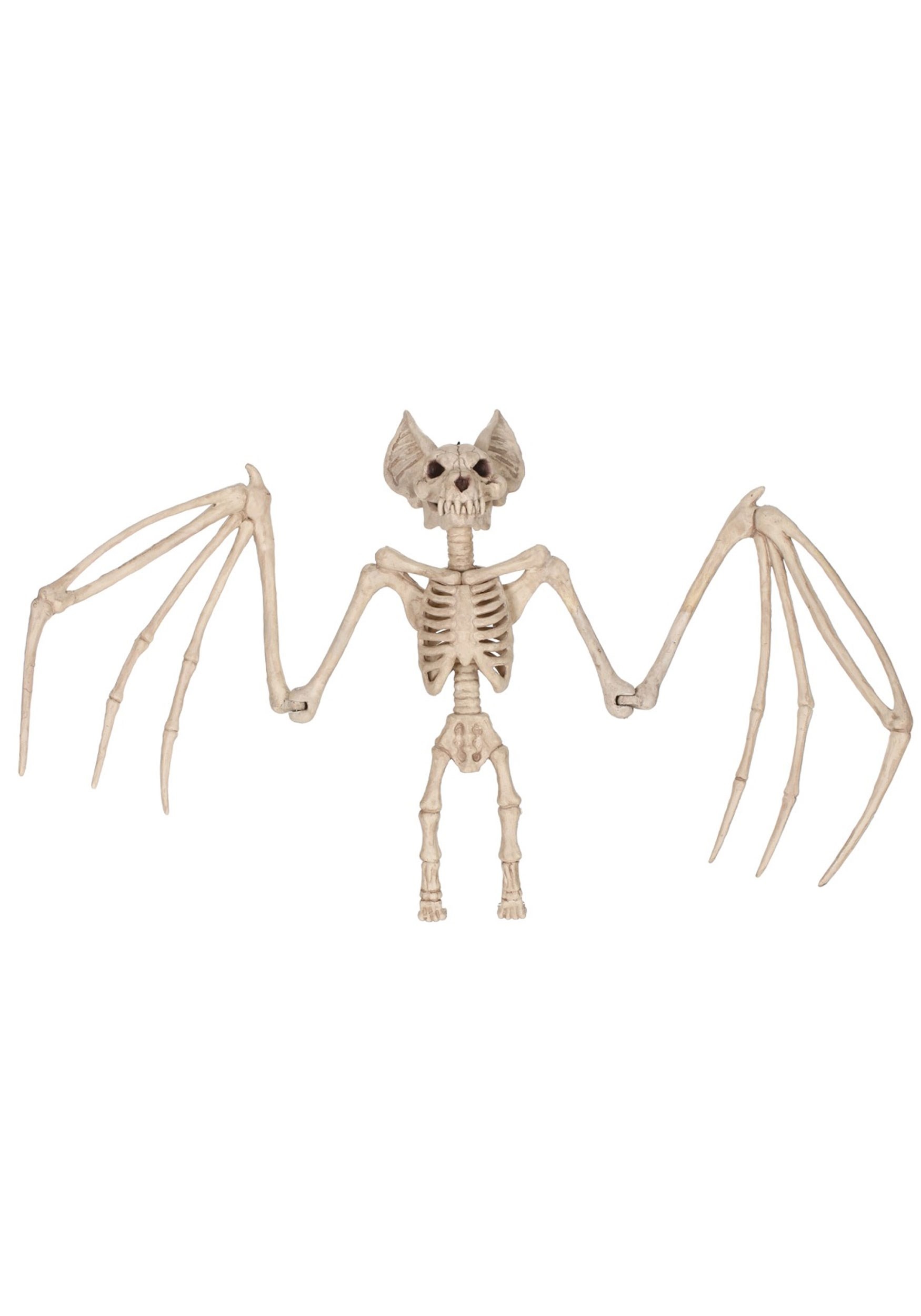 36-Inch Nocturnal Skeleton Bat Decoration | Animal Skeletons