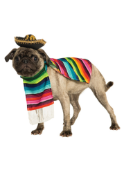 Pet Mexican Serape Costume